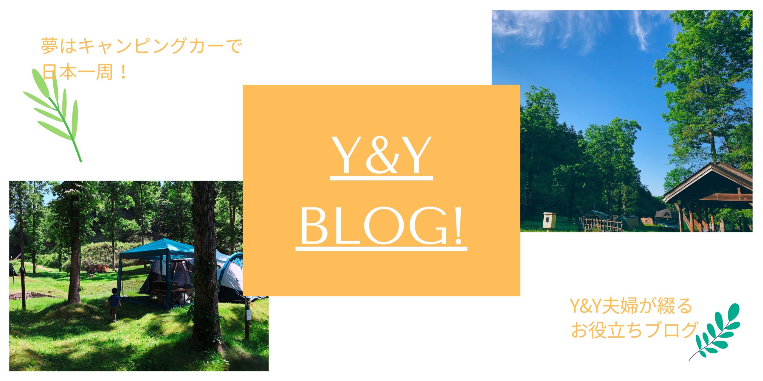 Y&Y ブログ